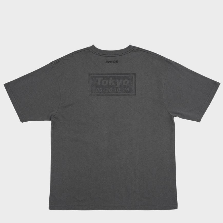 新品★oasis/オフィシャルツアーグッズ/Tシャツ/日本限定/富士/XXL★