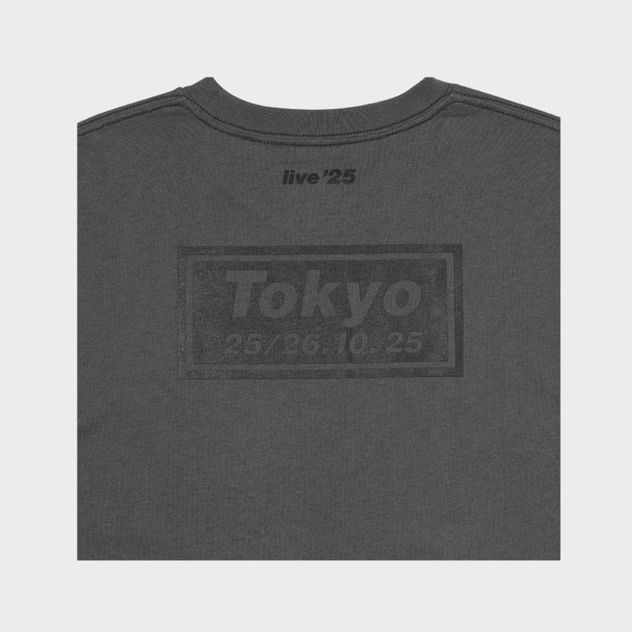 新品★oasis/オフィシャルツアーグッズ/Tシャツ/日本限定/富士/XXL★