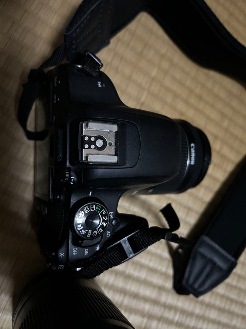 Canon デジタル一眼レフカメラ レンズ2本セット