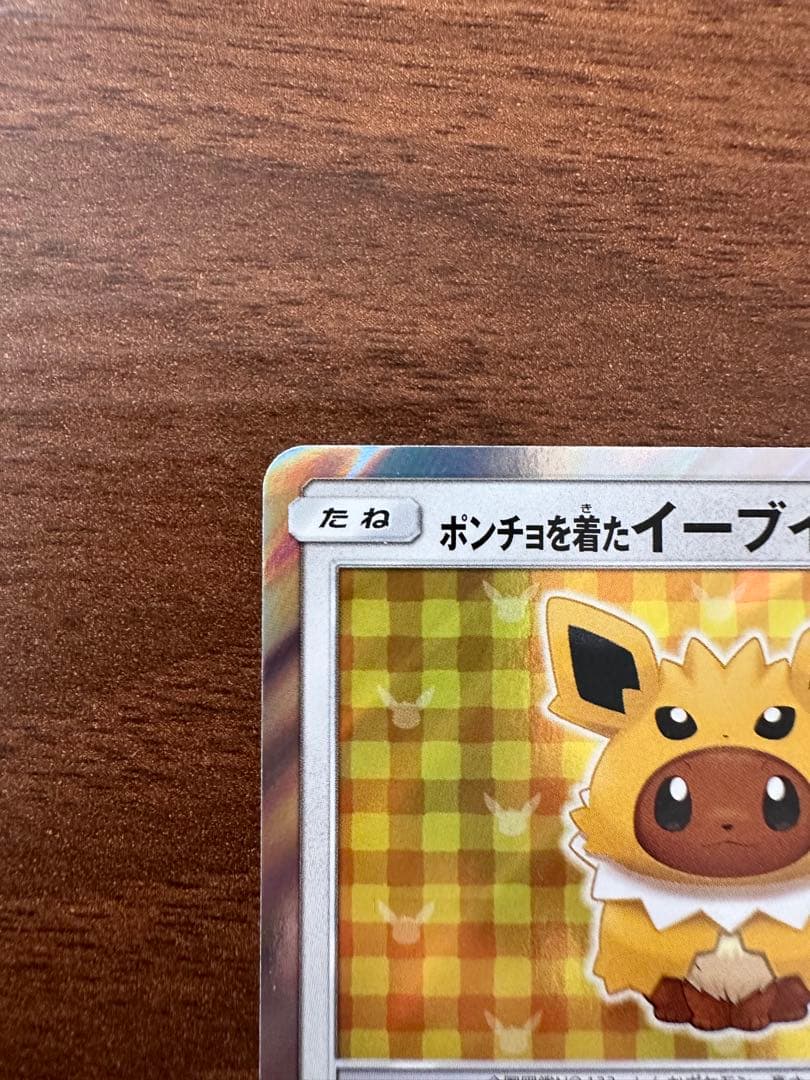 ポンチョを着たイーブイ(サンダース)