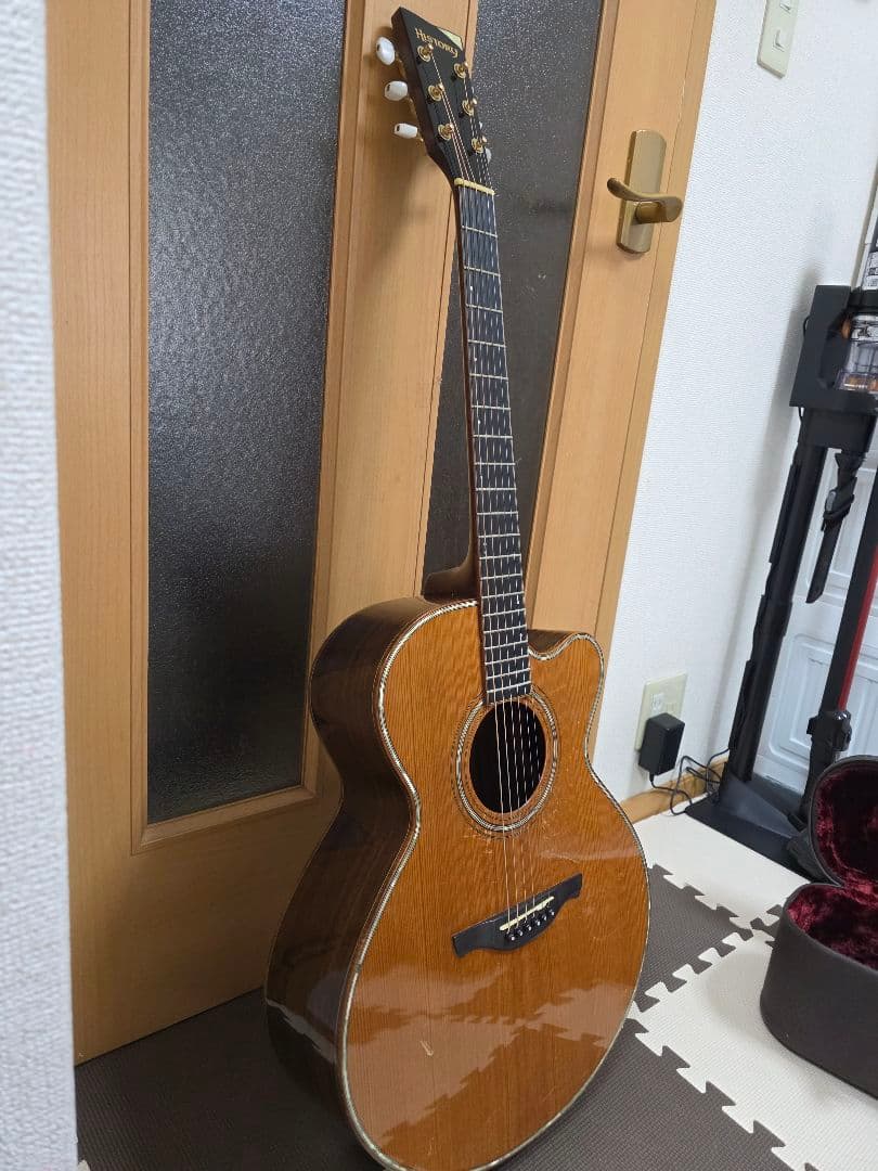 アコースティックギターHISTORY NT-301
