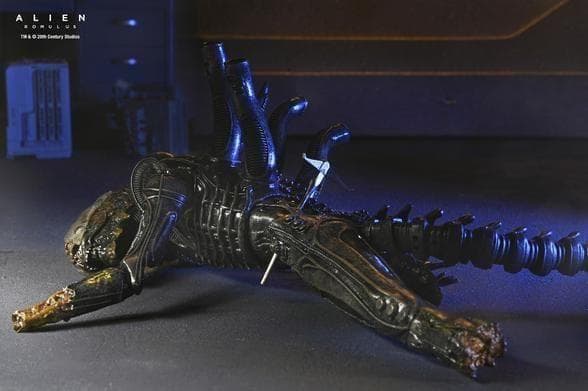 【NECA】新品 正規品 エイリアン:ロムルス ゼノモーフXX121 デラックス