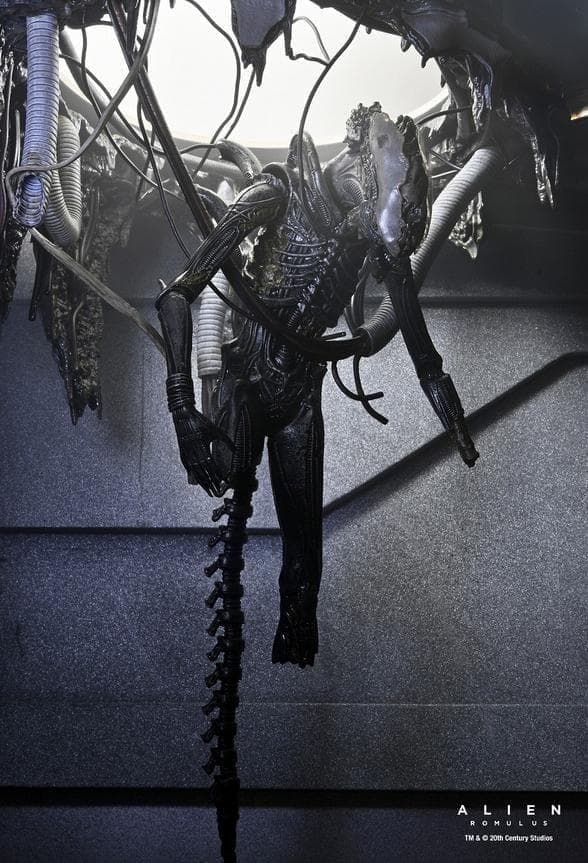 【NECA】新品 正規品 エイリアン:ロムルス ゼノモーフXX121 デラックス