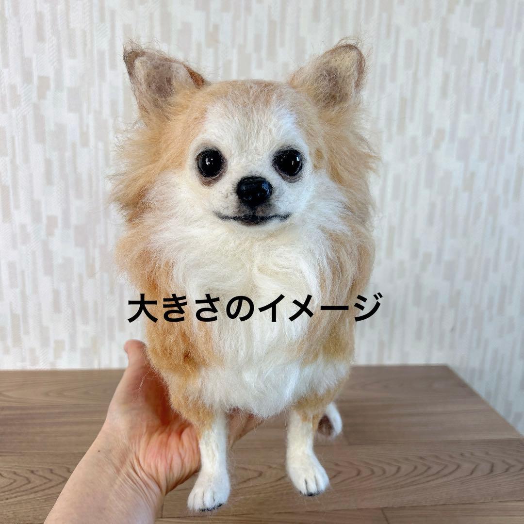 桜もち様　オーダー専用　羊毛フェルト　犬　チワワ