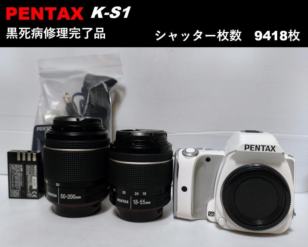 【黒死病修理済】PENTAX K-S1 ダブルズーム