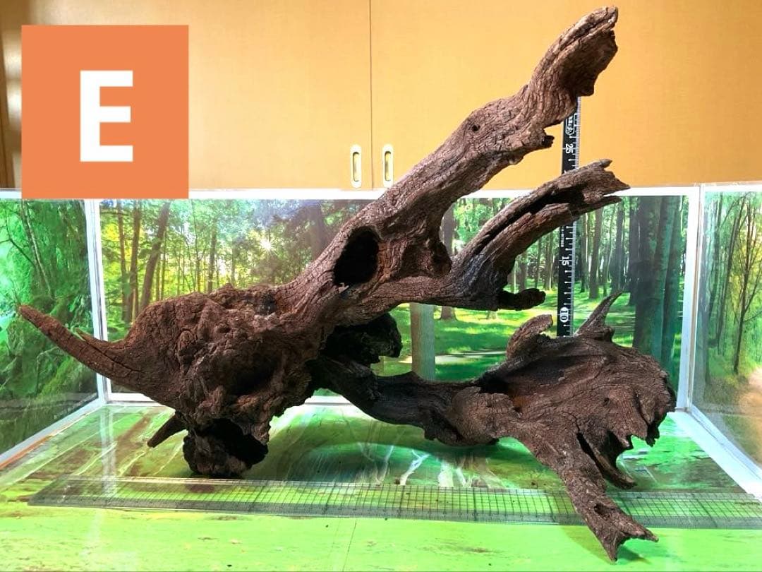 けすけ様　ご提案用　天然水槽用流木　沈水確認済み