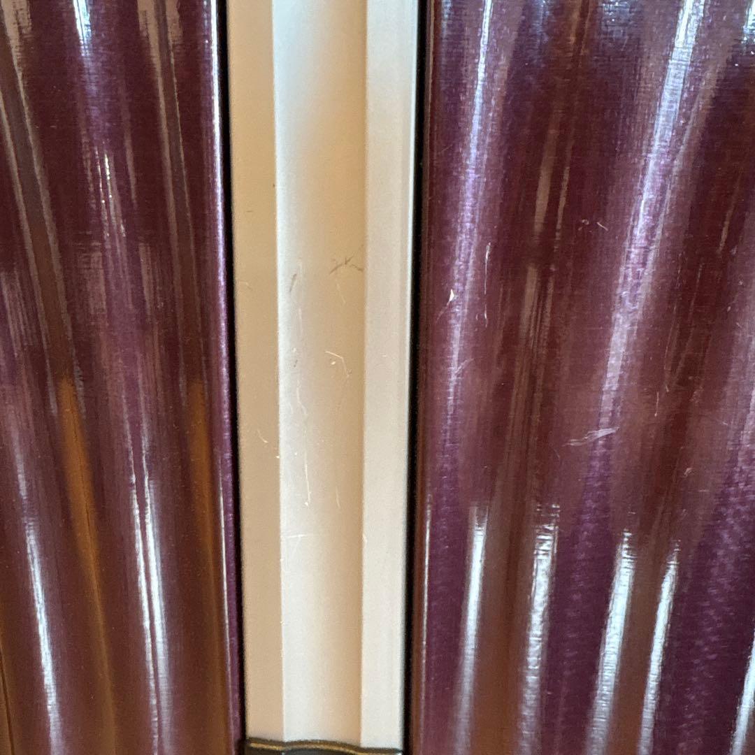 【専用】サムソナイト コスモライト スピナー74/2 88L 4輪 TSAロック