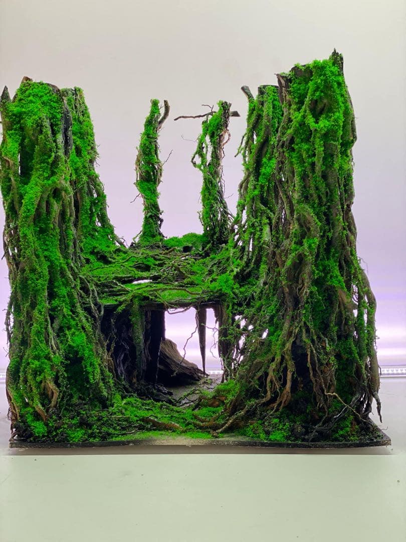 【在庫処分　半額OFF】手入れ不要インスタントレイアウト熱帯雨林のバニヤン流木