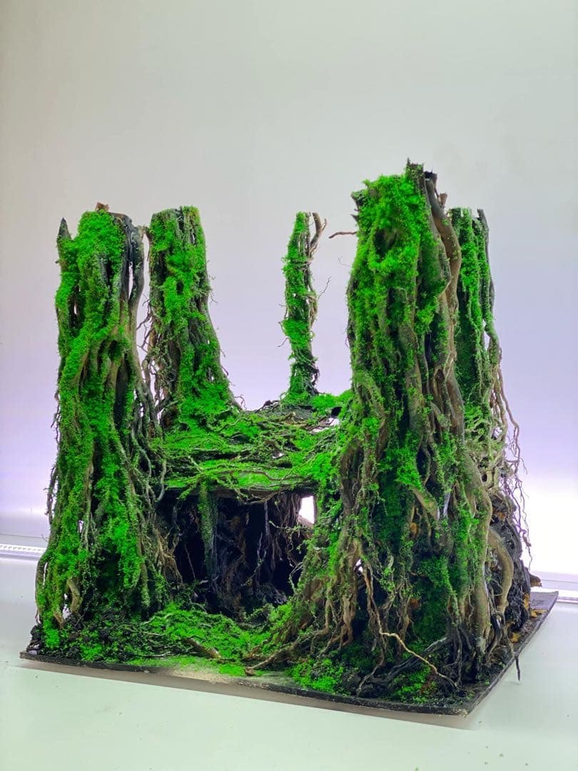 【在庫処分　半額OFF】手入れ不要インスタントレイアウト熱帯雨林のバニヤン流木