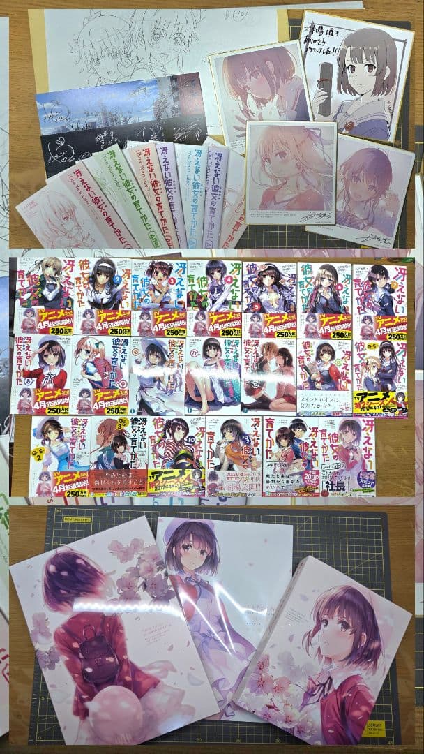 冴えない彼女の育てかた　原作、特典小説全巻　劇場版Blu-ray　パンフレット