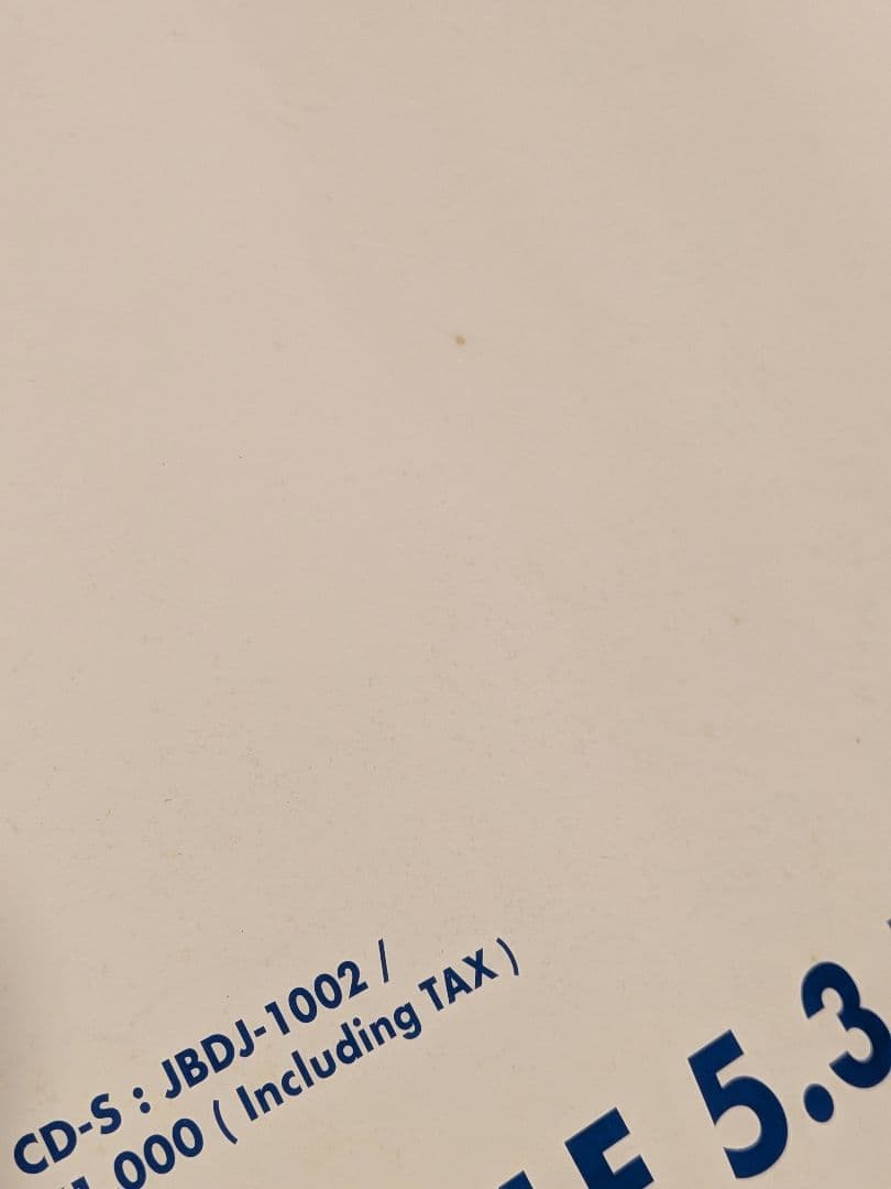 【B1特大ポスター】大黒摩季「いちばん近くにいてね」非売品