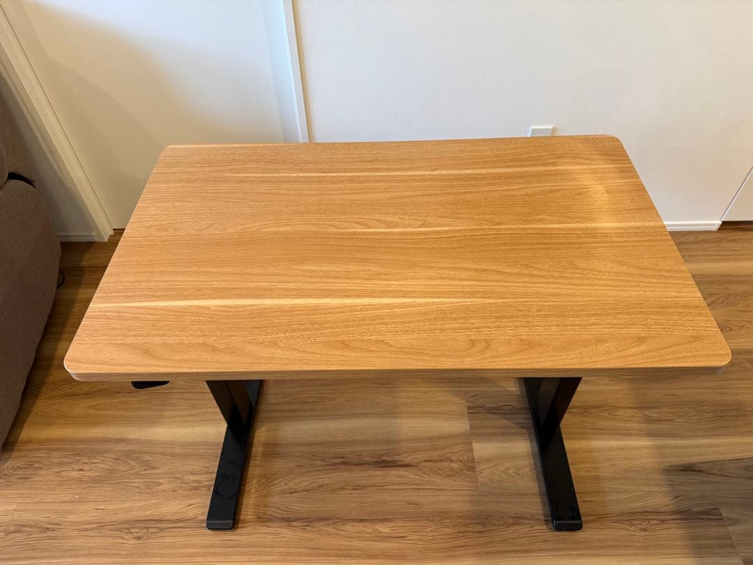 Flexispot 電動昇降スタンディングデスク・脚フレーム EG1天板セット