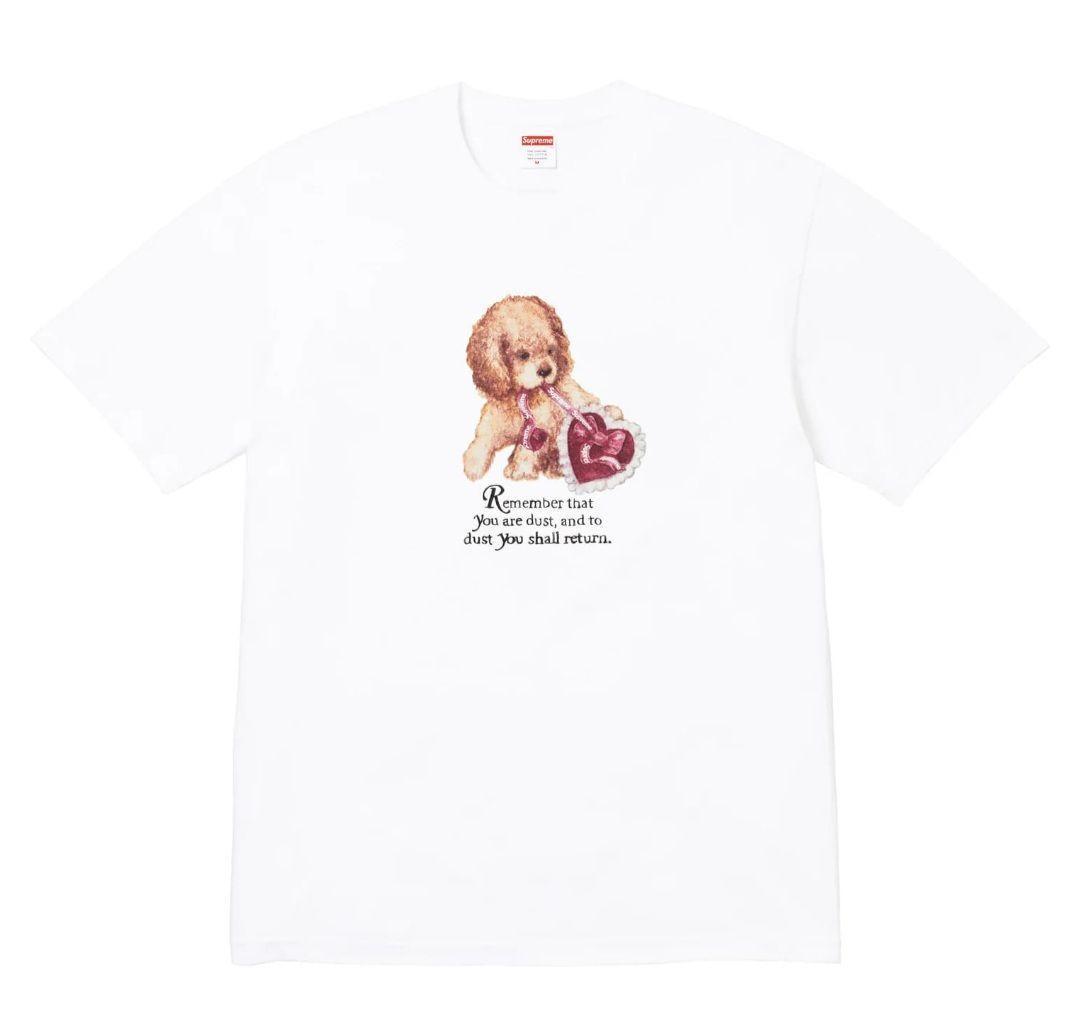 Supreme シュプリーム Dust Tee White Size S 新品