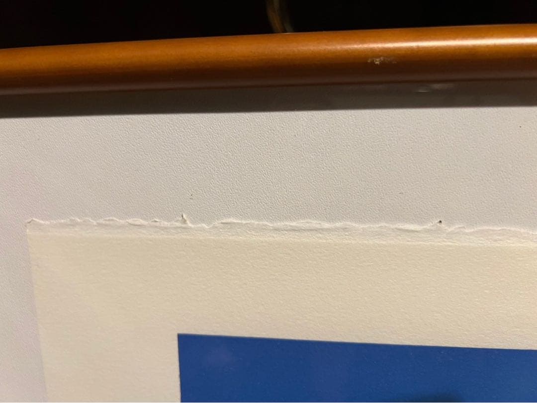 Alain Ragaru リトグラフ 額縁 インテリア 薔薇の盛花