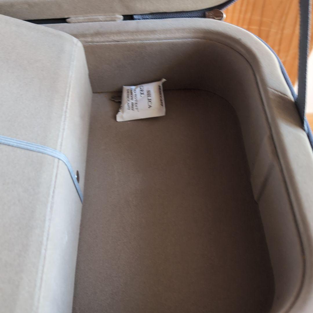 鑑定書有りVioline B. Guadagnini バイオリン PG803E