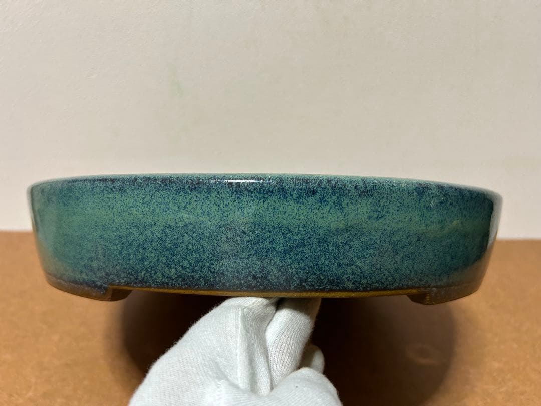 碧水　盆栽鉢　山野草