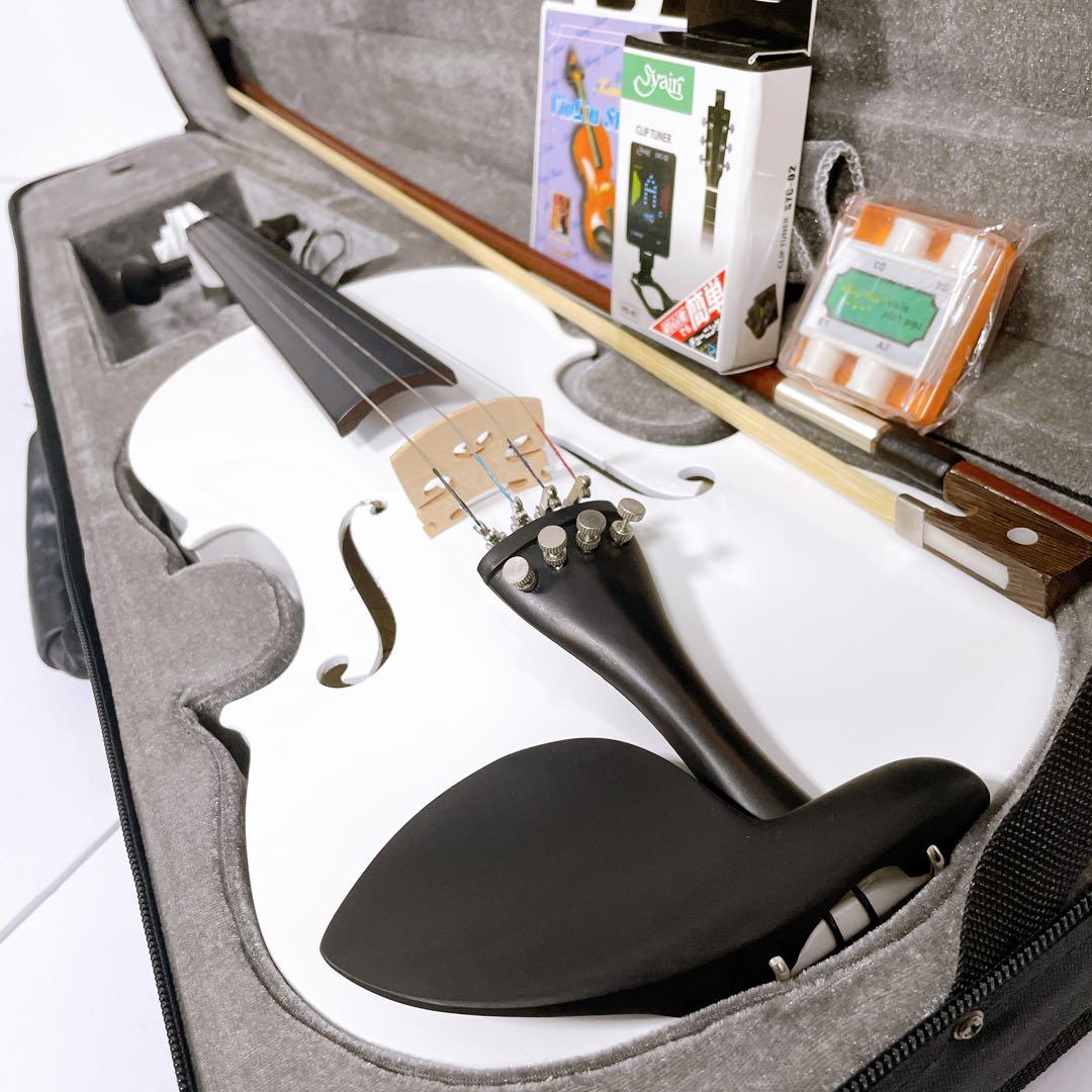 ✨未使用級✨Hallstatt V-12 4/4 バイオリン ホワイト 付属多数