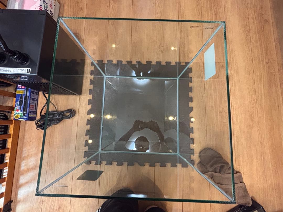 水槽 psychedelic aqua