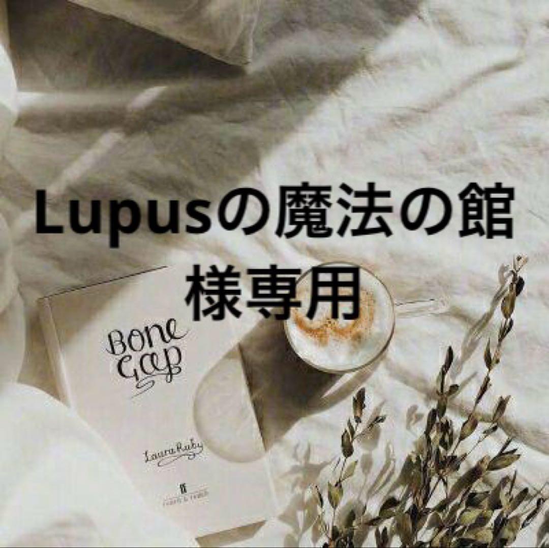 Lupusの魔法の館　プロフ必読　0808