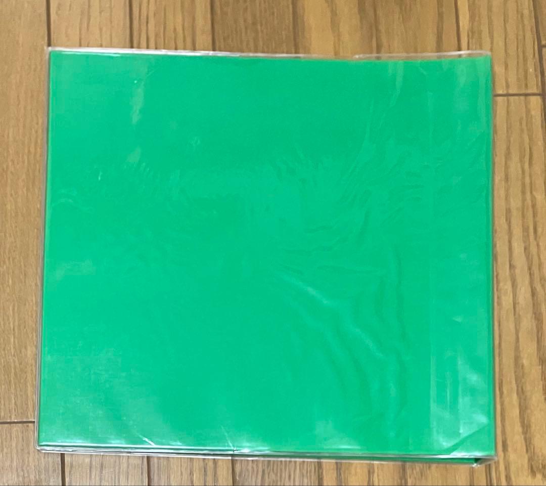 DELFONIX アルバム Lサイズ3冊 台紙75枚付