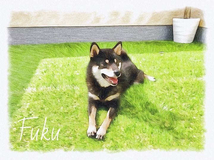 うちの子イラスト（データ納品）