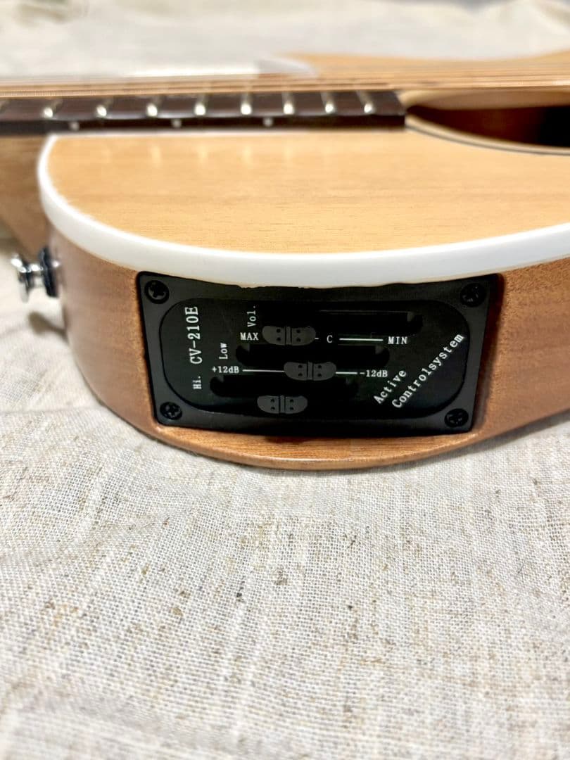 ギター GrassRoots G-AC-45