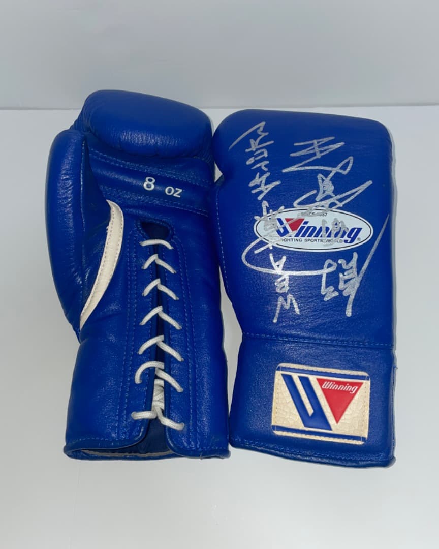 MIKIウィニング ボクシンググローブ 8オンス　世界チャンピオン