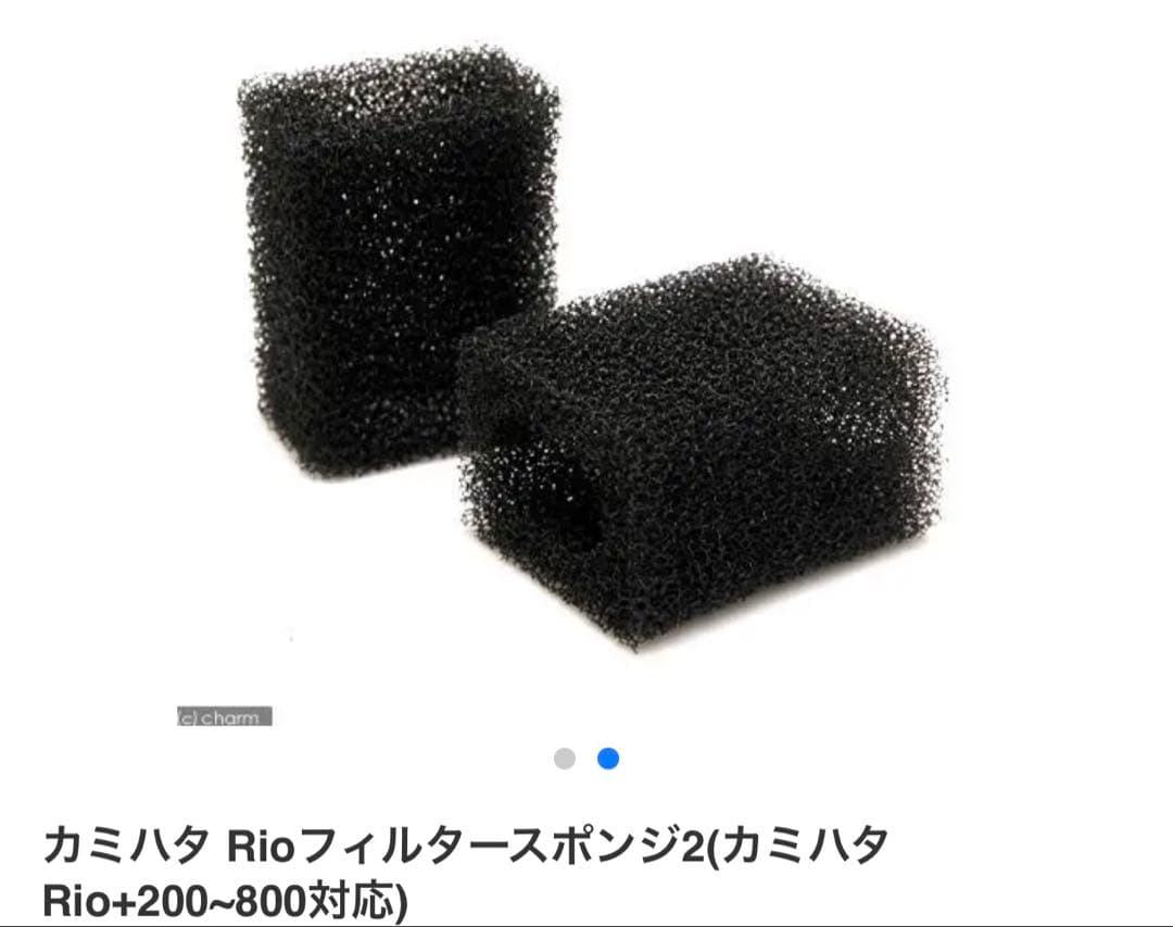 【再値下げしました】60cm水槽 5点 セット