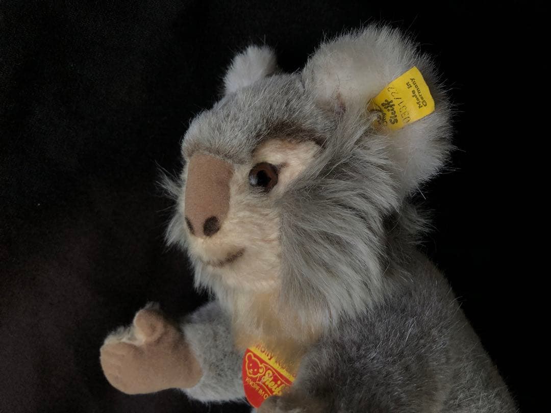 Steiff コアラ Molly Koala