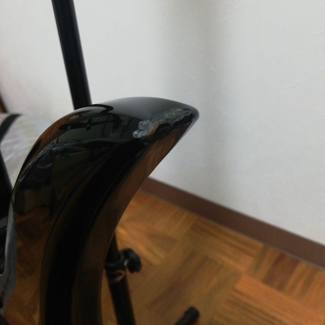 フェルナンデス　モッキンバード