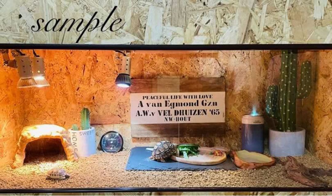 Haru爬虫類ケージ　送料込