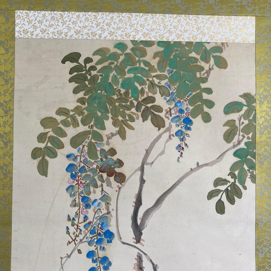 掛軸•日本画　森山香浦「藤に百舌鳥」