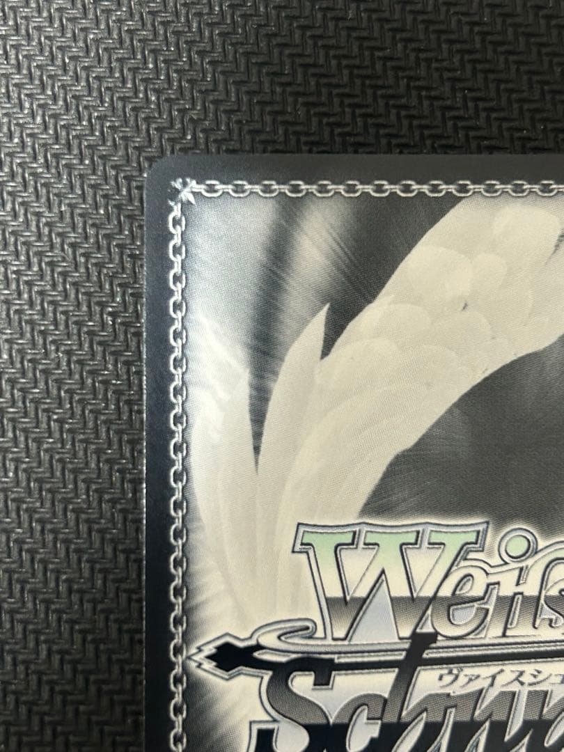 夏が来りて　しろは　SEC （サイン入り）