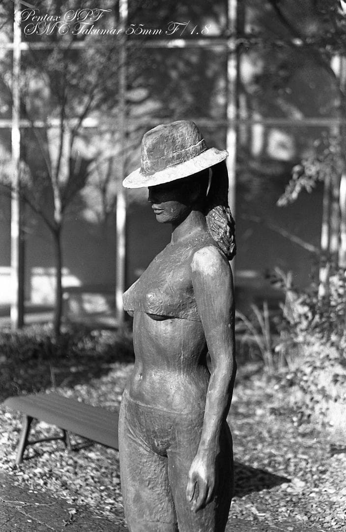 【整備済完動】PENTAX SPF SMC TAKUMAR 55mm F/1.8