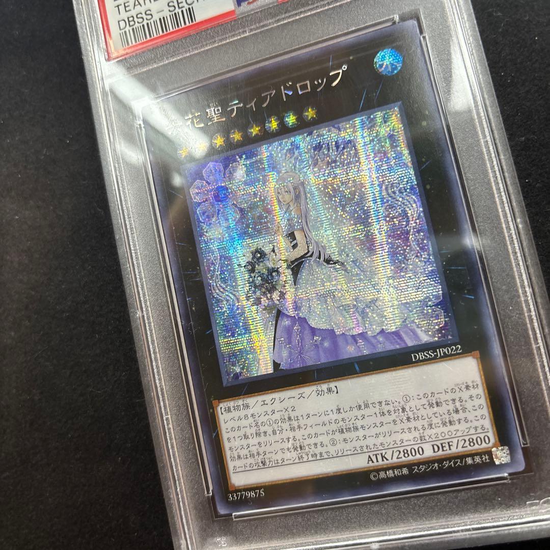 PSA10 アジアシク 貫通横シク 六花聖ティアドロップ