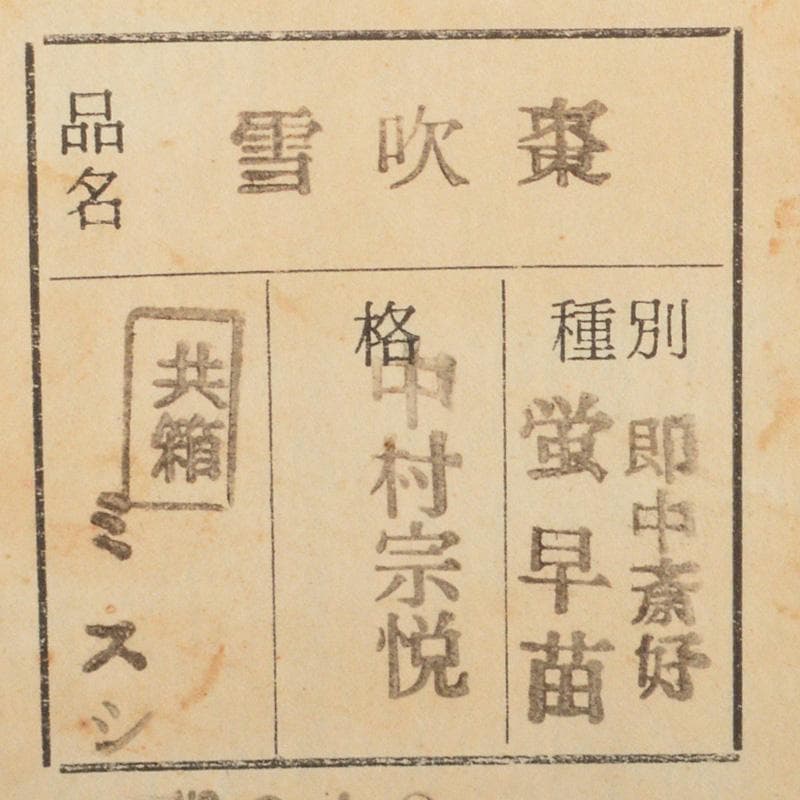 茶道具　中村宗悦作　即中斎好　螺鈿装飾　蛍早苗　雪吹棗　共箱　V　6286