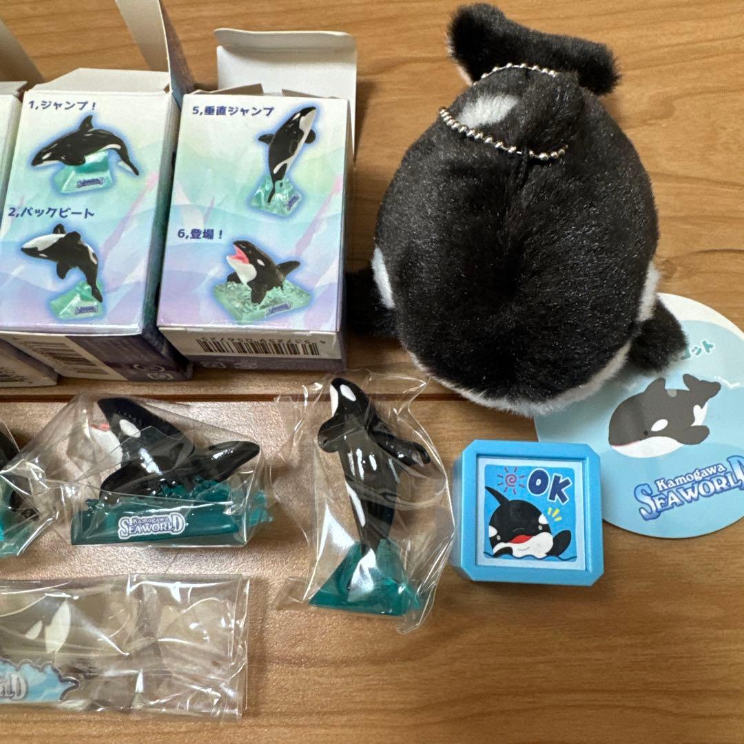 鴨川シーワールド　セット