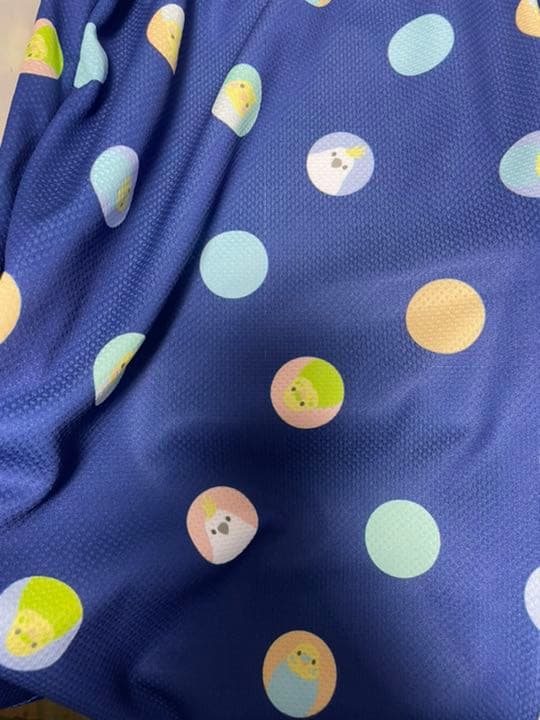 インコルームウエア上下☘️インコグッズ☘️ブルー・水玉インコ セットアップ✨