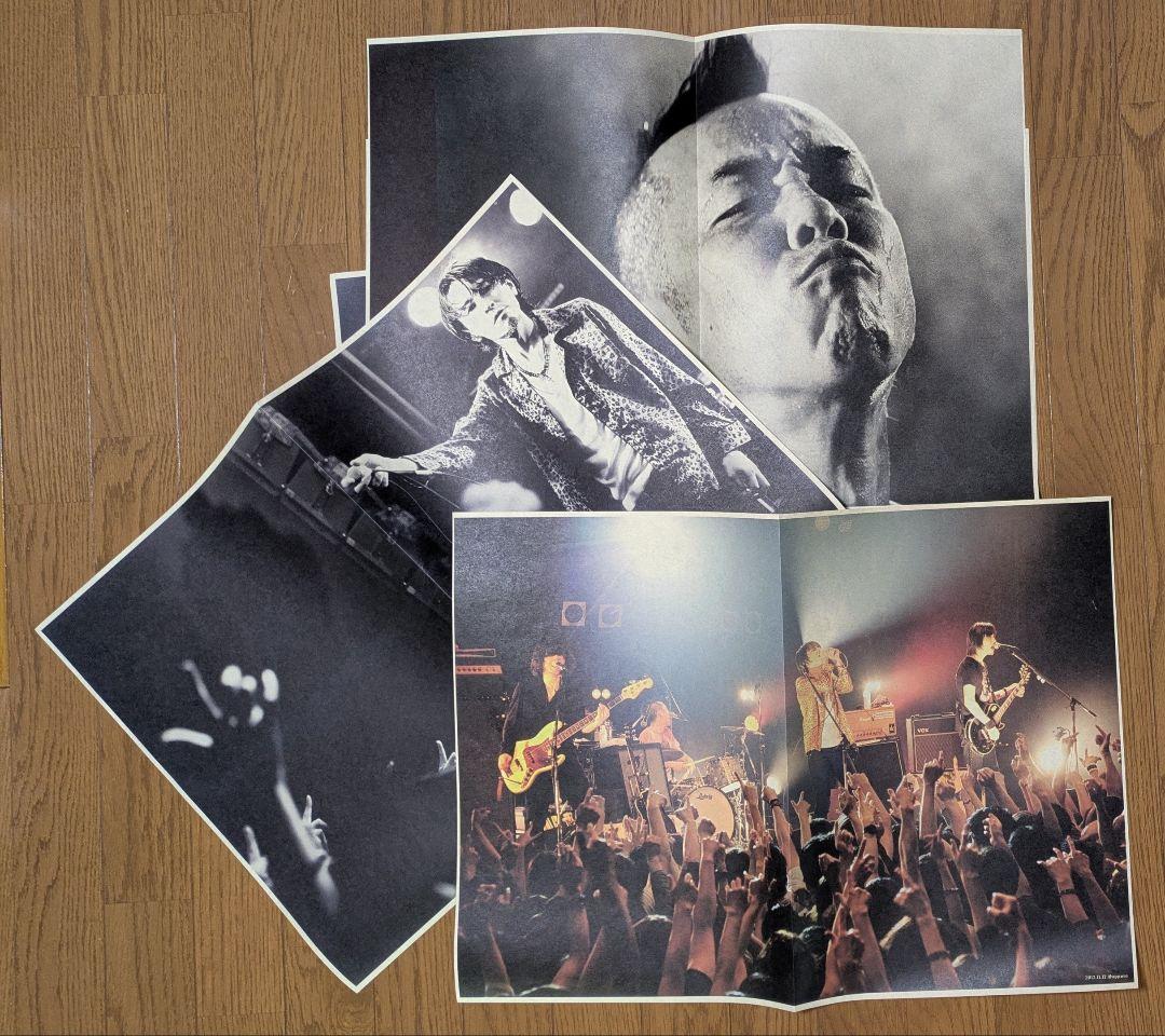 【The Birthday】　VISION　ツアータブロイド　レア