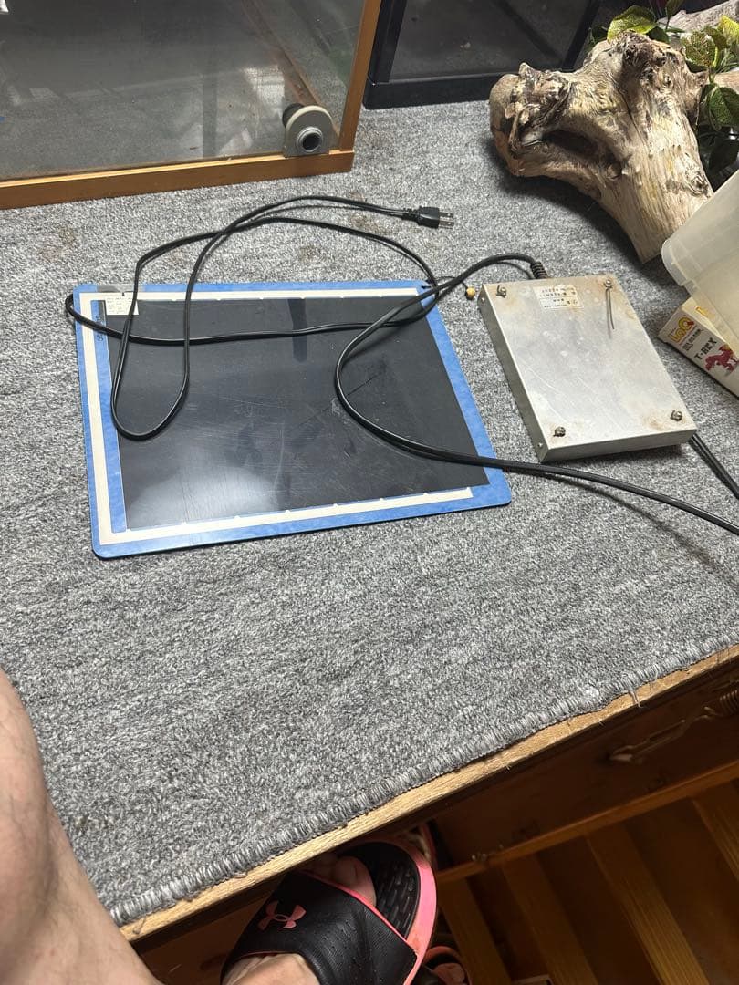 ［引き取り限定］中型ガラス飼育ケージ 600木の枝付きおまけケージ2個