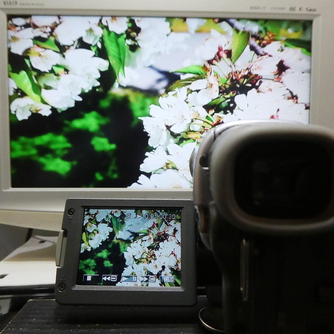 動作品 ソニーDCR-TYV22 MiniDV ビデオカメラ DVDダビングに