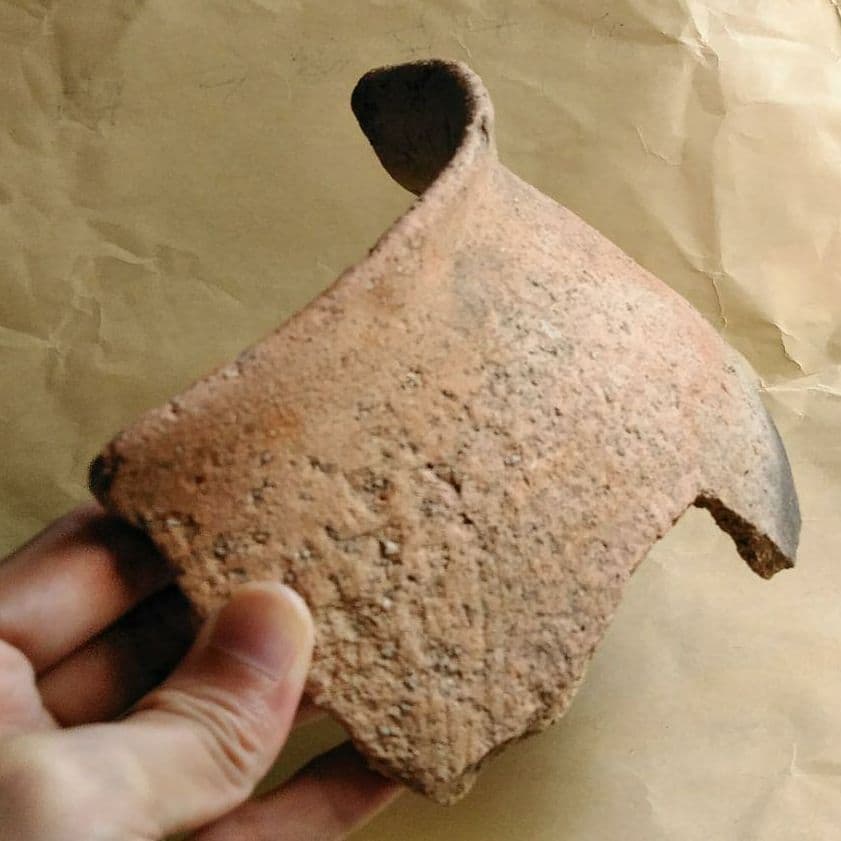 弥生時代　土器片　  MAX 22㎝　特大