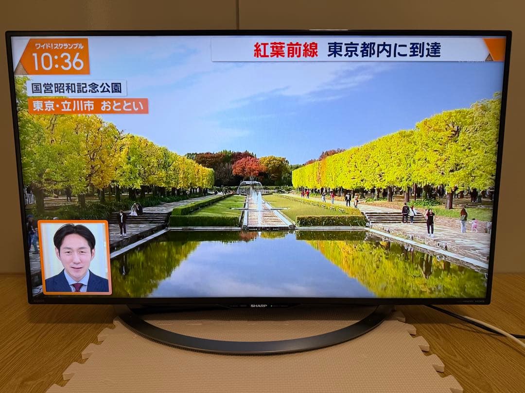 シャープLC-40U45 40型 2017年製⭕️上地、BS/CS、動画可テレビ