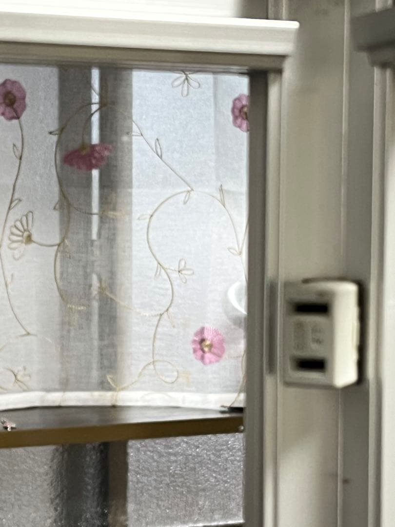 ガラスショーケース 昭和ネオラック 観葉植物 爬虫類 クワガタ 引取り限定