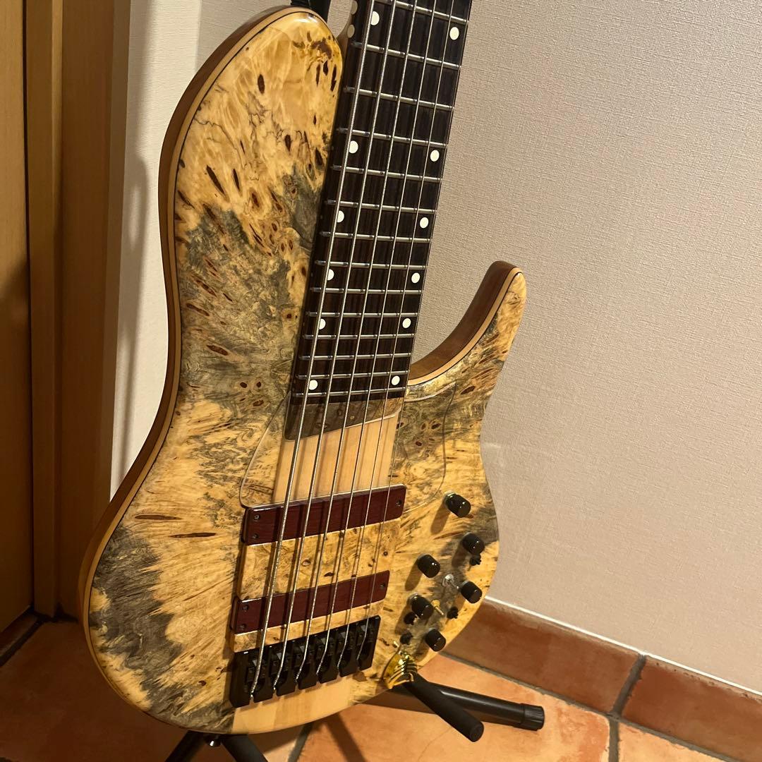 ベース Phoenix/PHS-6 SC Buckeye Burl