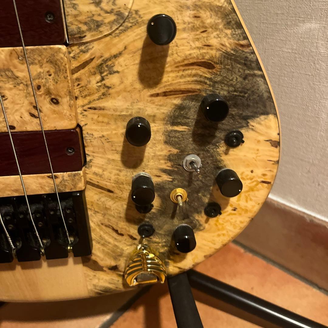 ベース Phoenix/PHS-6 SC Buckeye Burl