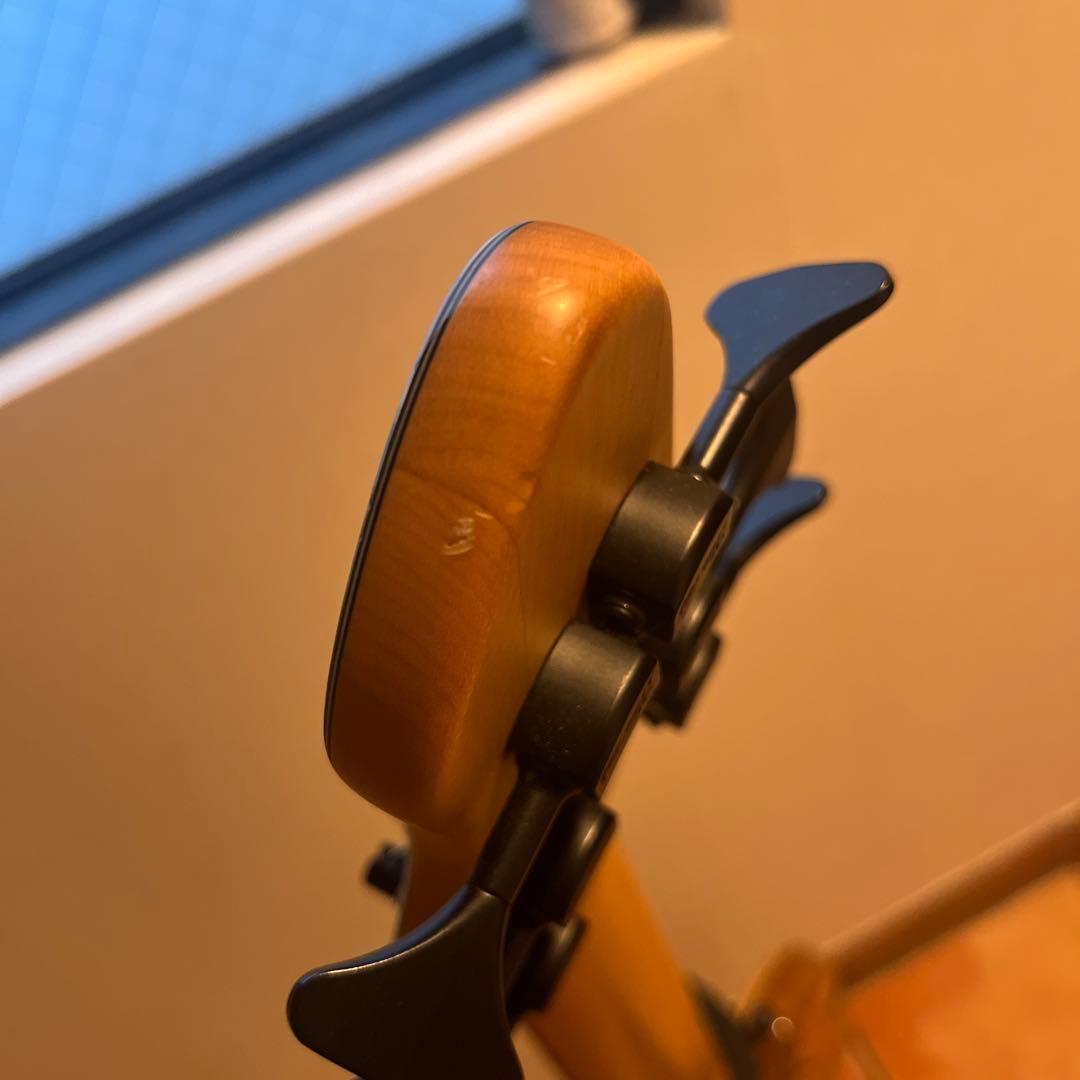 ベース Phoenix/PHS-6 SC Buckeye Burl