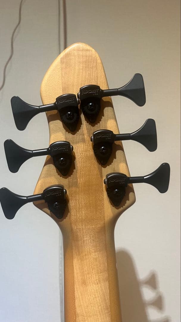 ベース Phoenix/PHS-6 SC Buckeye Burl