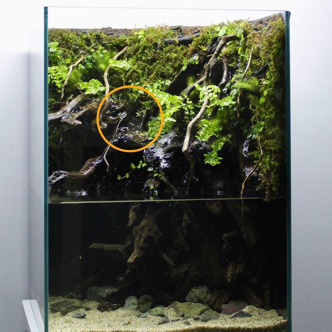 るりぃい　オーダー作品　アクアテラリウム