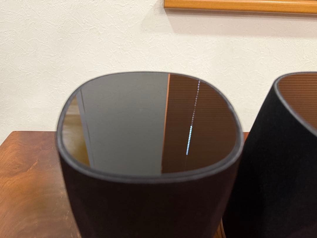 B&W Formation Flex ペア（新品同様）